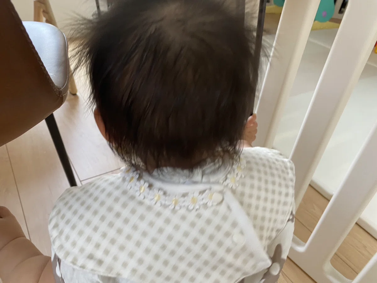 【育児日記】生後291日目 パパ ワンオペday|湘南LIFE|育児・お出かけスポット紹介
