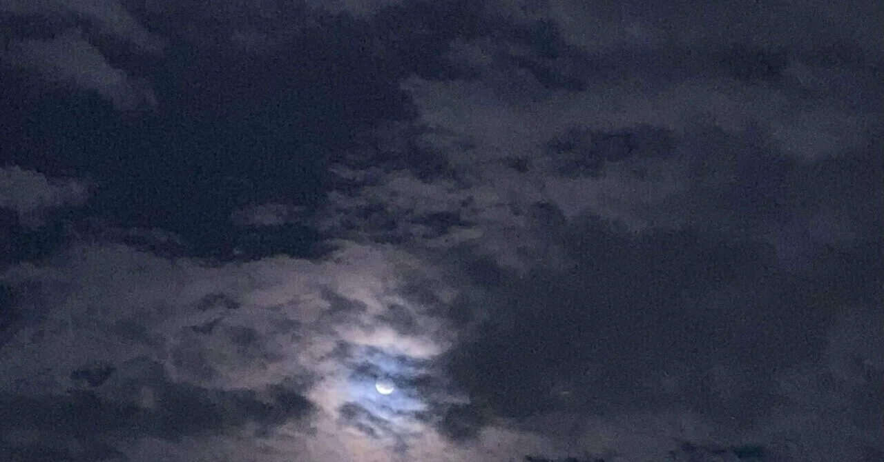 闇夜をかける｜もゆら