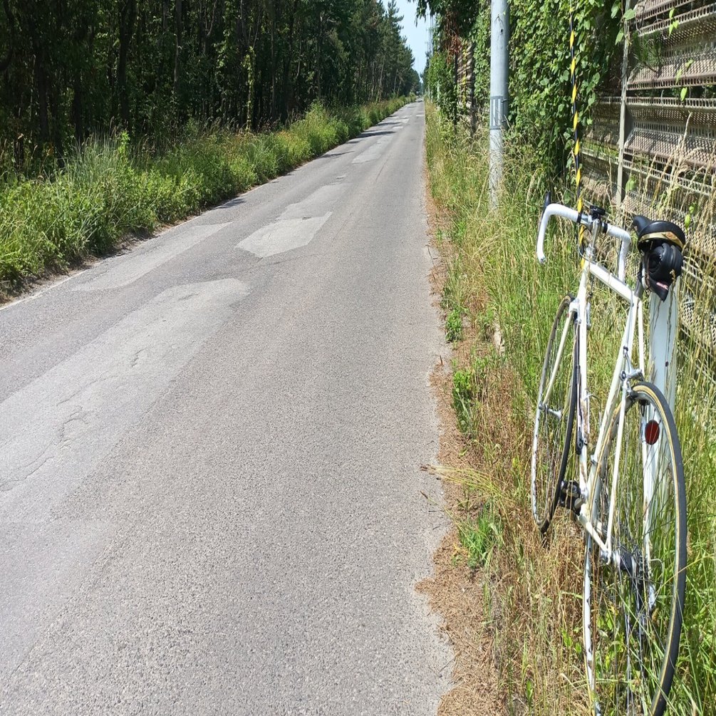 リアル80年代のロードレーサー： クロモリの走りを徹底調査 （その2