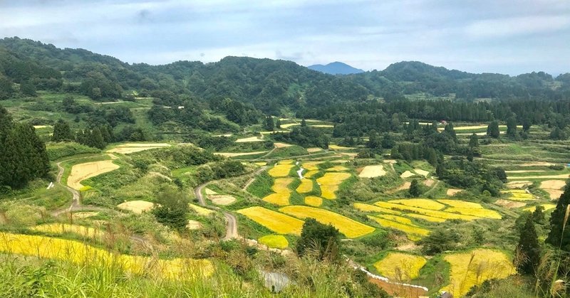 棚田の聖地 星峠で食べる極上コシヒカリ！