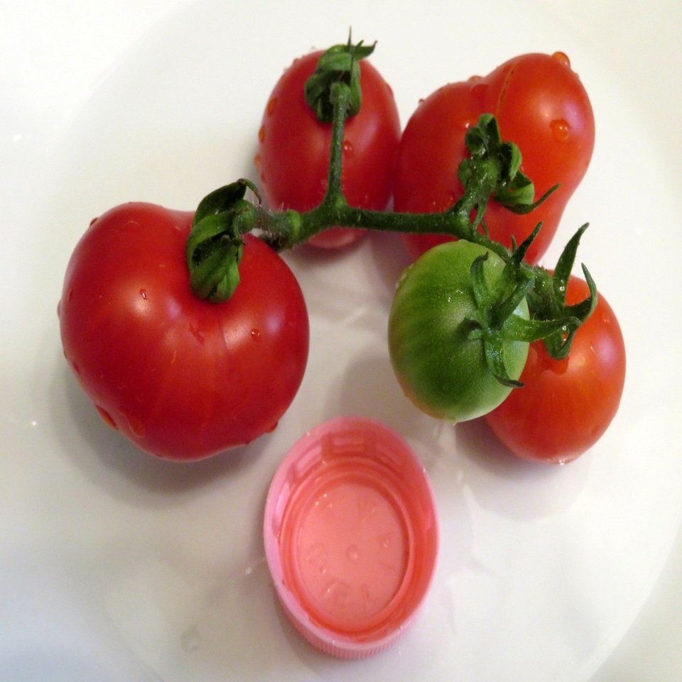 チェリートマト Eiko Toda Note