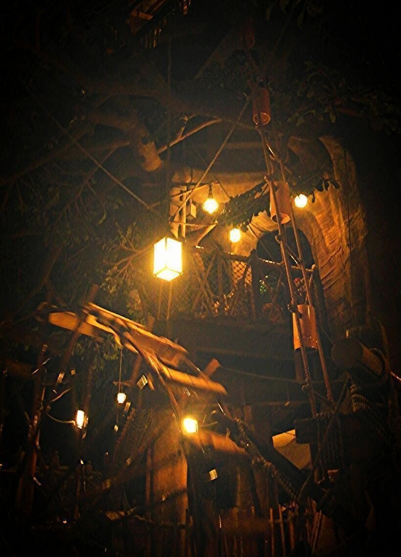 15 3 15 夜のディズニー綺麗 奈緒 写真 詩 日常 Note