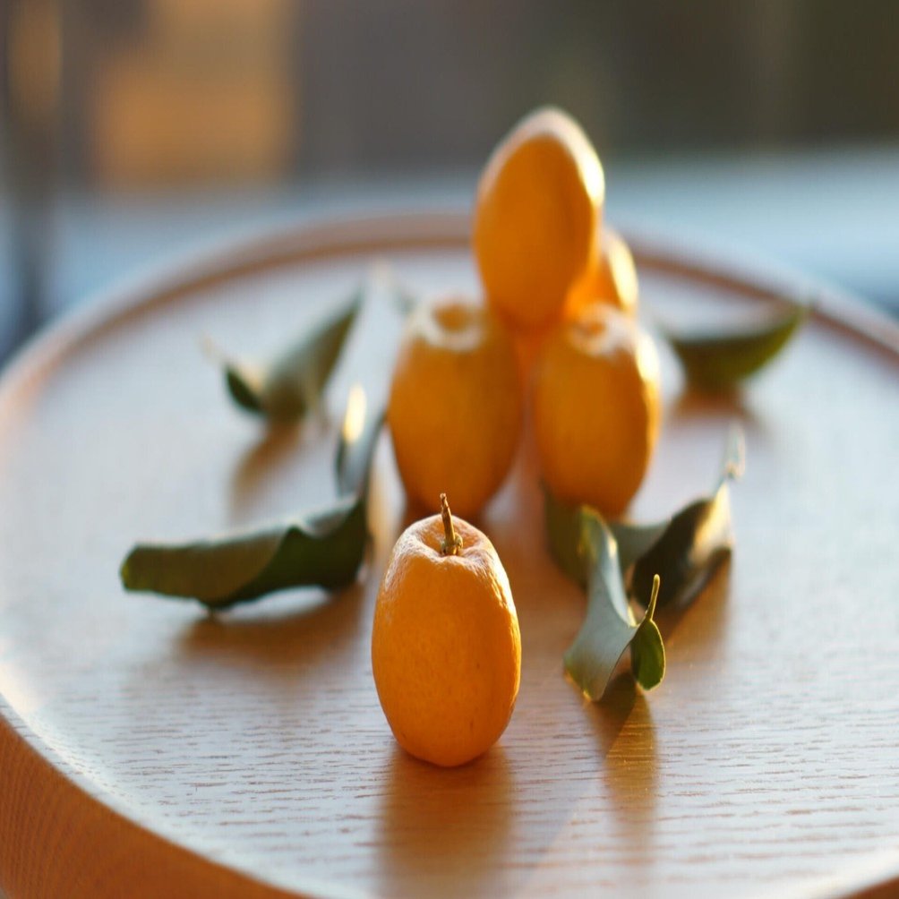 不老長寿をもたらす「大和橘」が、美食と美白の果実だった件｜奈良の