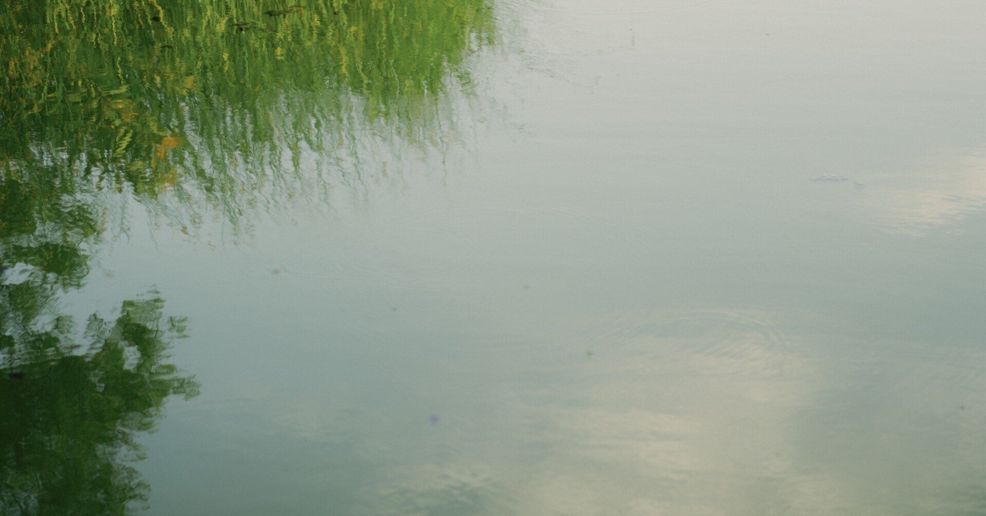 HASSELBLAD 中判フィルムをデジタルに|Re:Tk HASSELBLAD 中判フィルムをデジタルに|Re:Tk