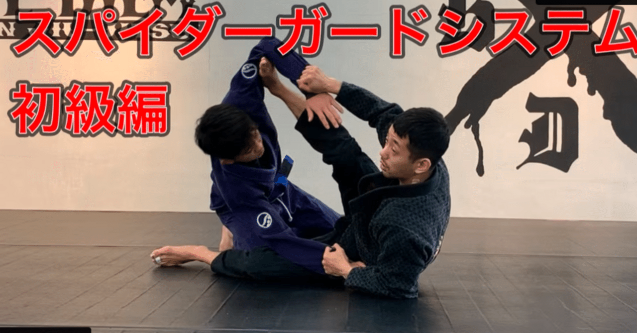 柔術教則レビュー「橋本知之 スパイダーガードシステム 初級編」（全文