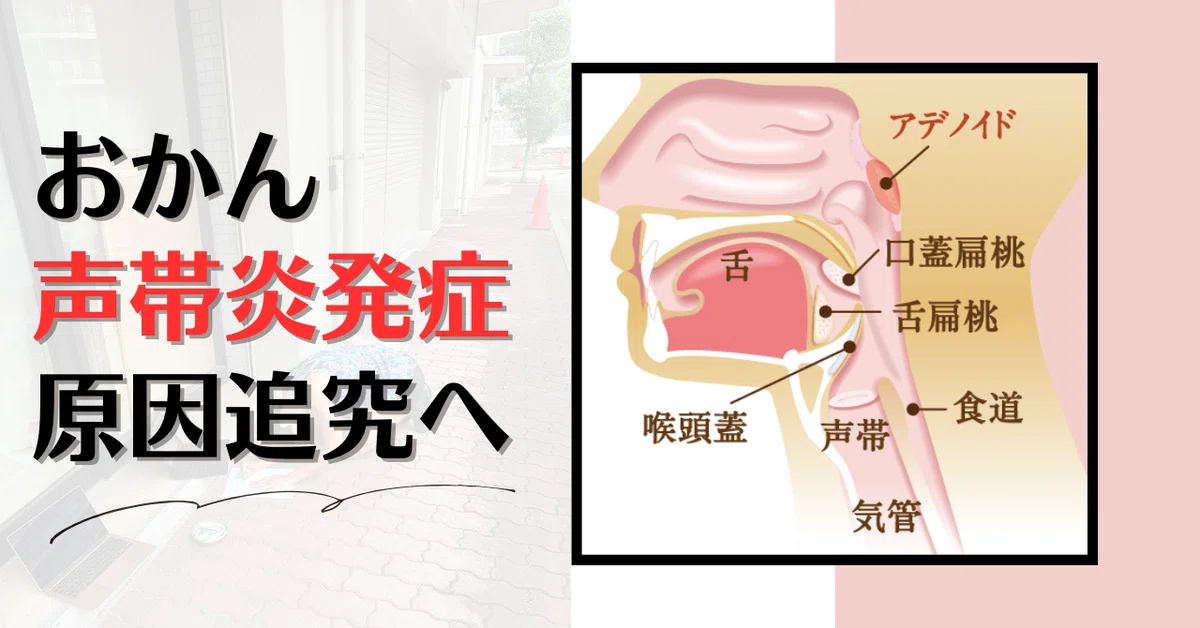 声が出なくなりました【声帯炎】|デトックスおかん 藤野真奈美 中医学生