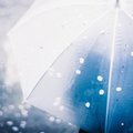 ベルギーでの就職活動に使った求人サイトまとめ Itsumi ベルギー Note