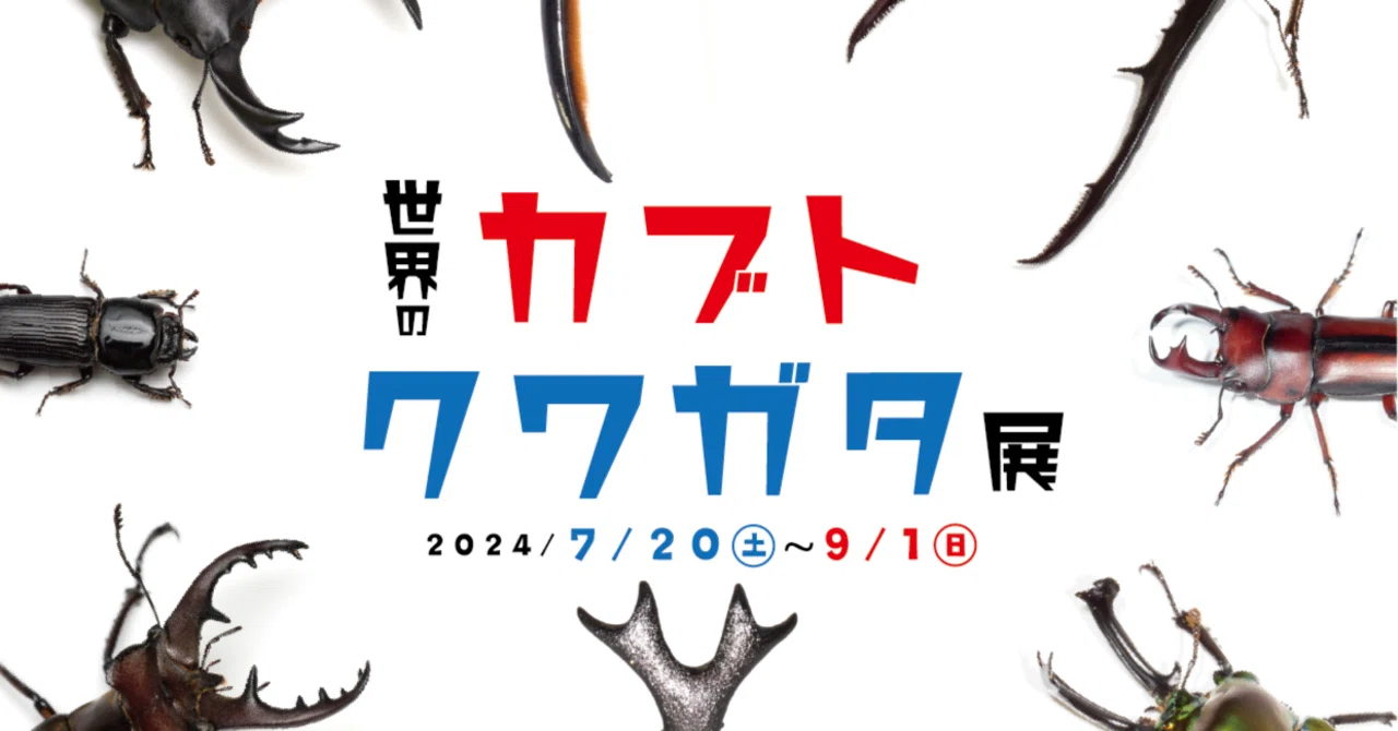 夏だ!カブトだ!クワガタだ!!|竜洋昆虫自然観察公園 夏だ!カブトだ!クワガタだ!!|竜洋昆虫自然観察公園