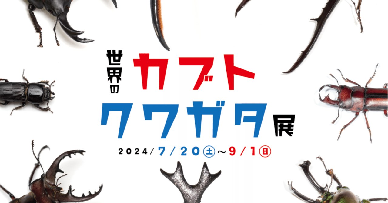 夏だ！カブトだ！クワガタだ！！｜竜洋昆虫自然観察公園