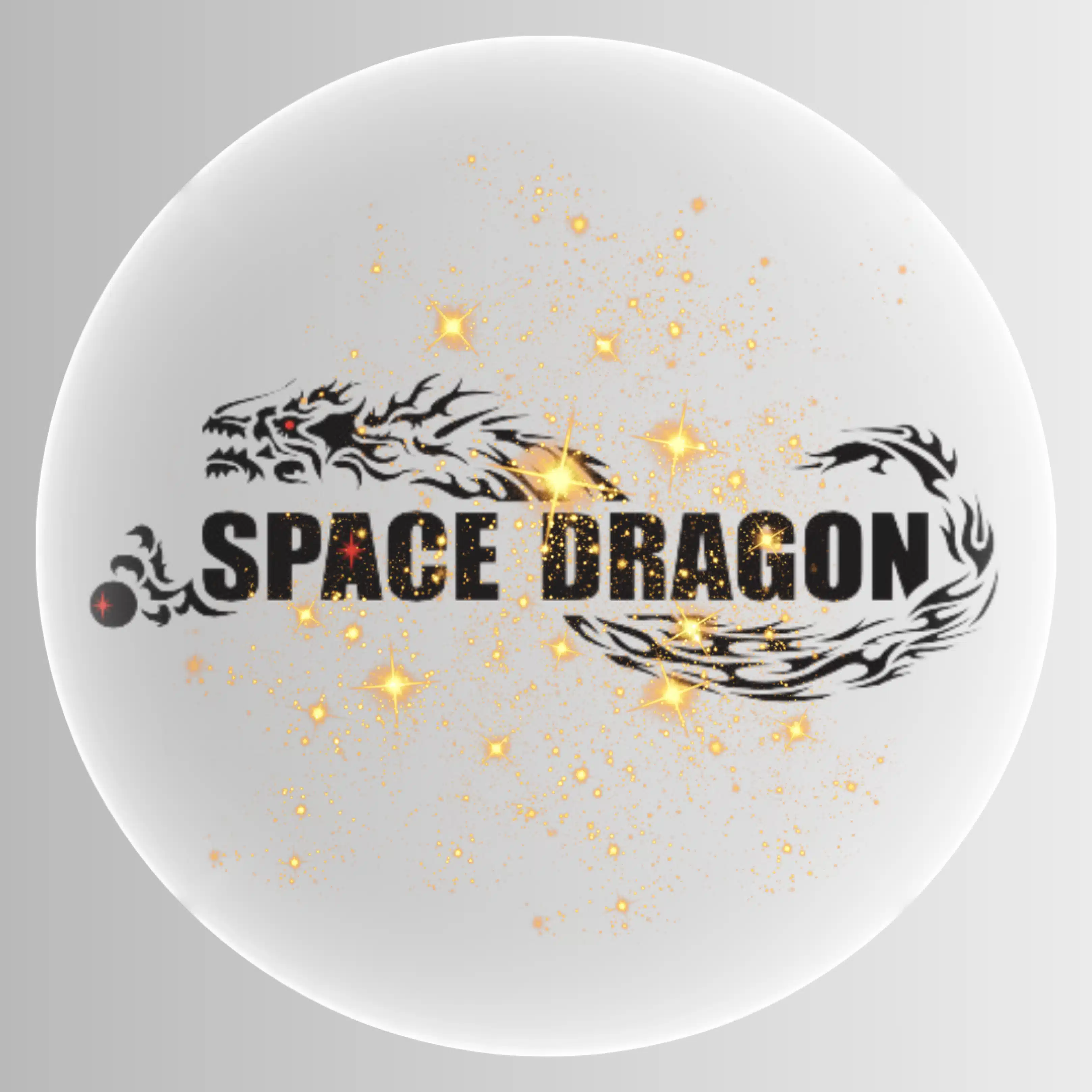 SPACE  DRAGON（スペース ドラゴン）