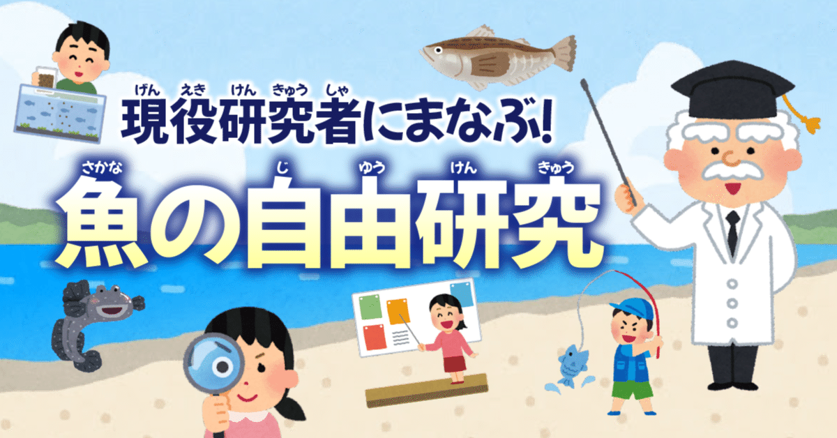 浜辺の骨 耳石 魚の骨 肩甲骨 浜辺の骨 耳石 魚の骨 肩甲骨