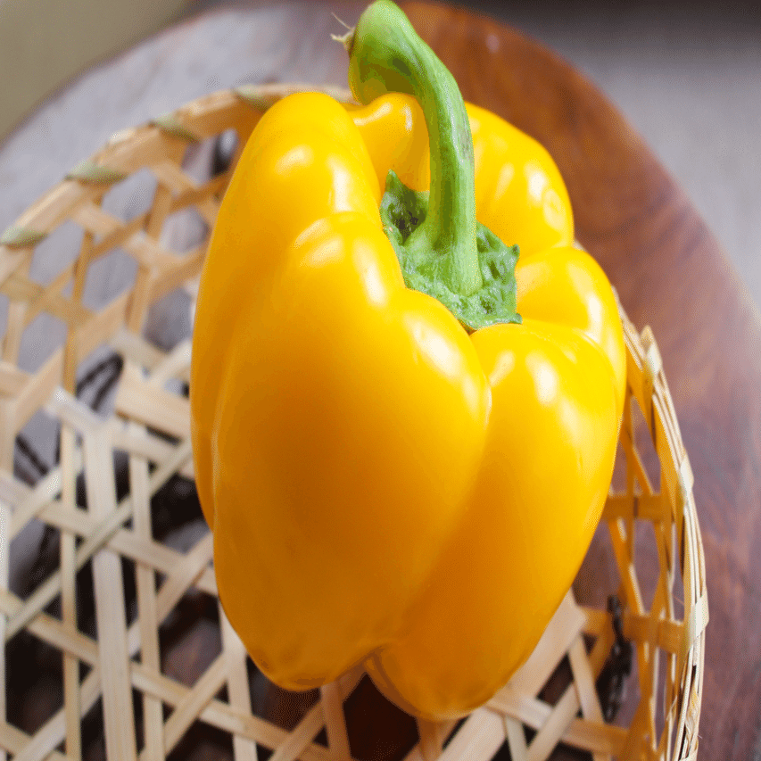 低温でじっくりと パプリカのコンフィ｜コトコト日誌