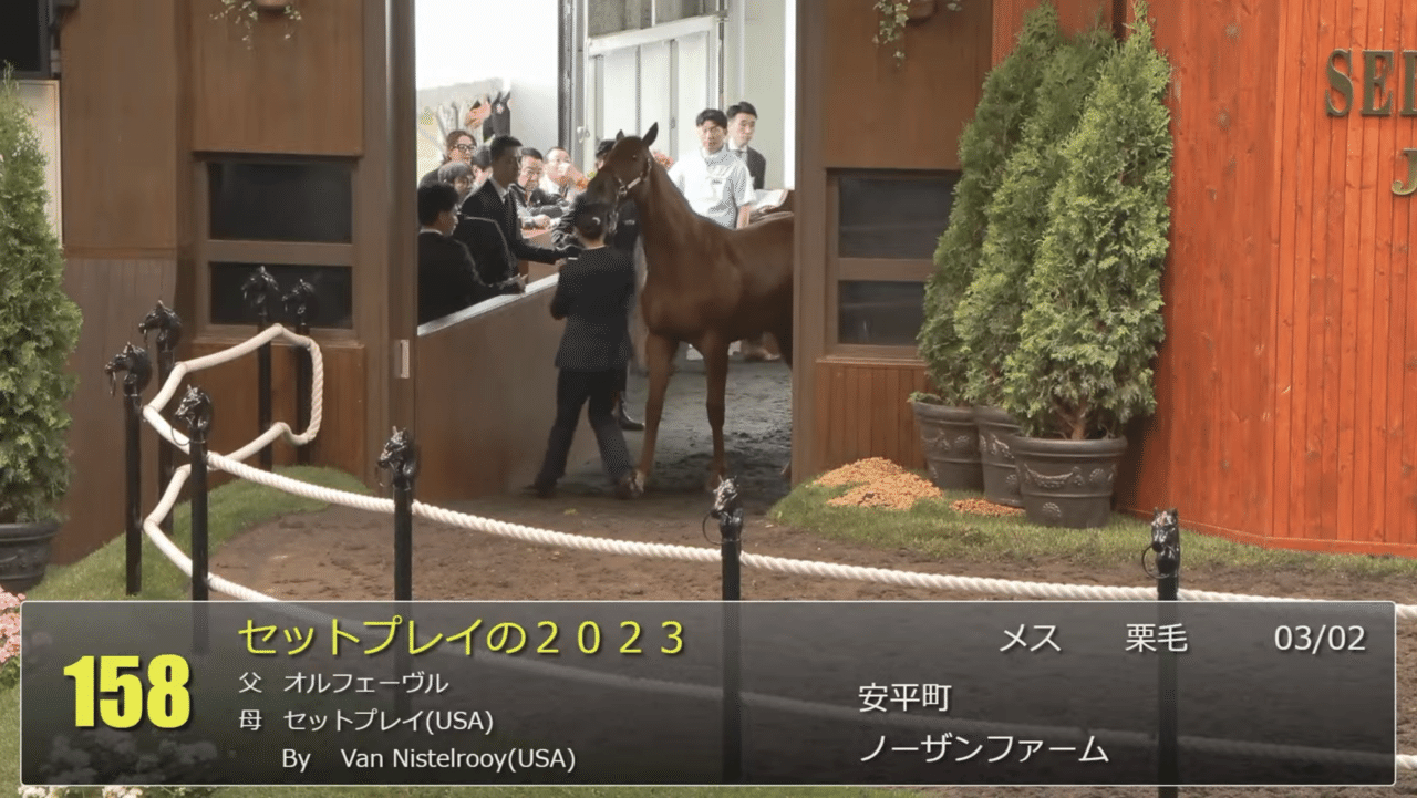 【5日19時まで延長値下げ】神椿市建設中(5種)　オルフェーヴル オルフェーヴル産駒 セレクトセール2024 まとめ｜らいあー
