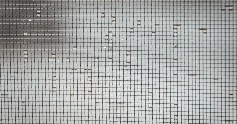 網戸掃除専用スポンジを使うと驚くほど網戸が綺麗になる 酒ねこ ワクワク人生 Note