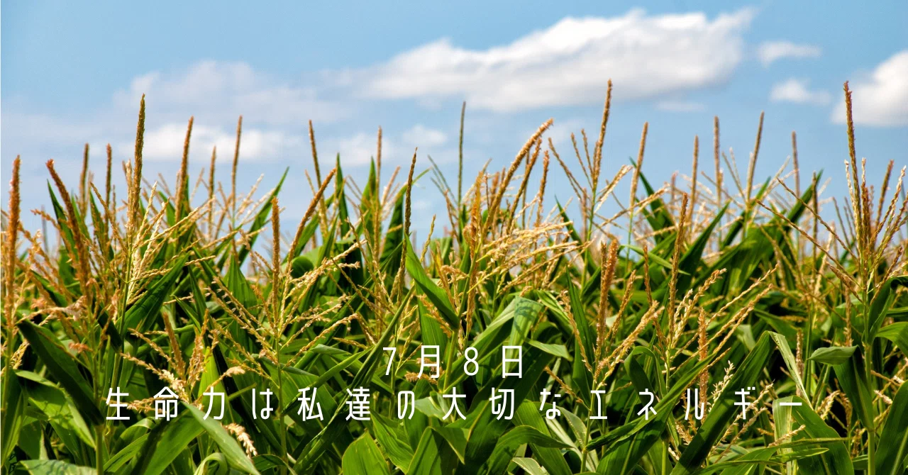 7月8日 生命力は私達の大切なエネルギー｜kimamaclub