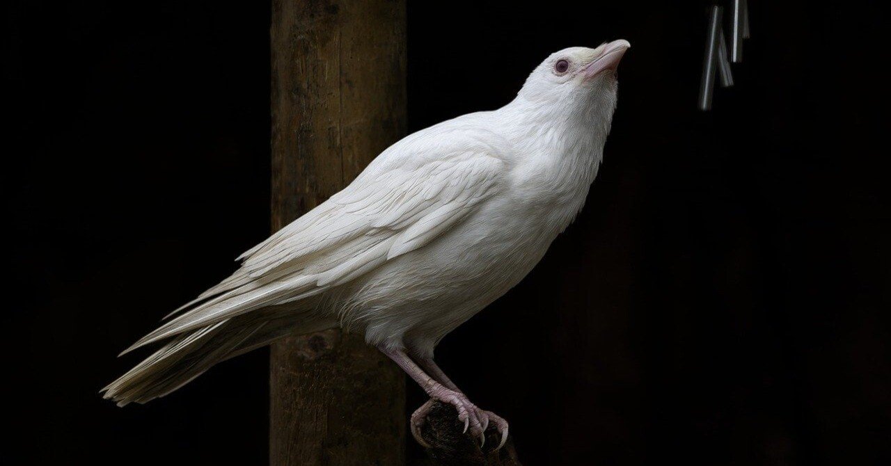 f560acb9b846a3a45d057ea816e704