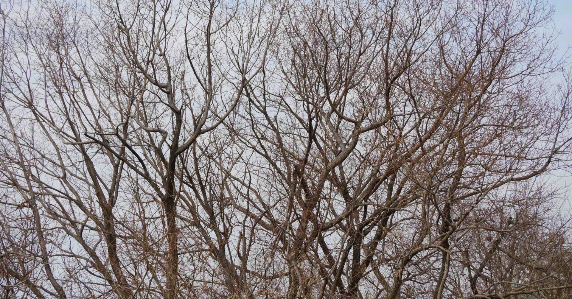 Table of Contents for Mechanics｜よくばりじいさんのごった煮