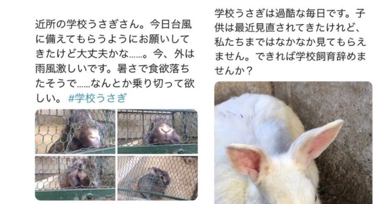 学校うさぎの廃止 Daigoさん ノート紹介abc 宮咲アンナ Note 学校うさぎの廃止 Daigoさん ノート紹介abc 宮咲アンナ Note