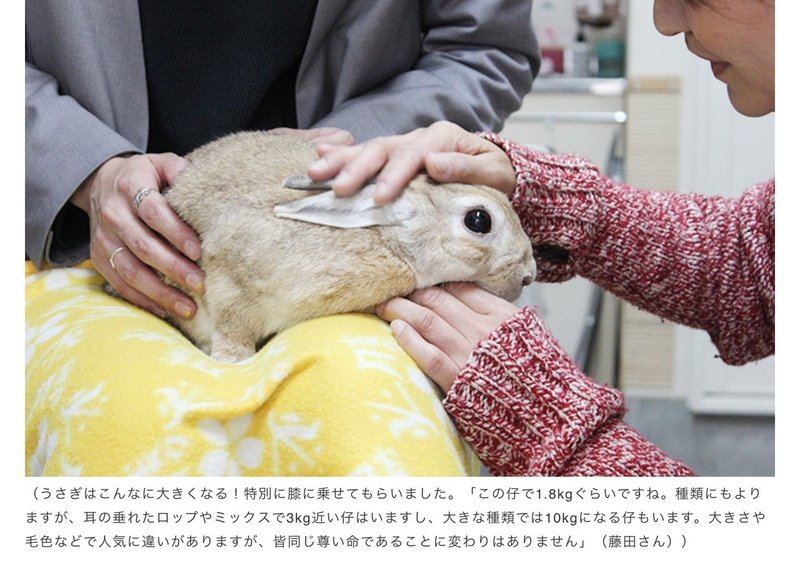 学校うさぎの廃止 Daigoさん ノート紹介abc 宮咲アンナ Note