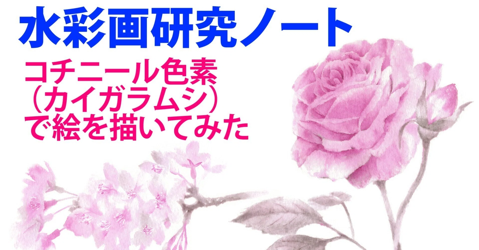 水彩画研究ノート 【コチニール色素（カイガラムシ）で絵を描いてみた