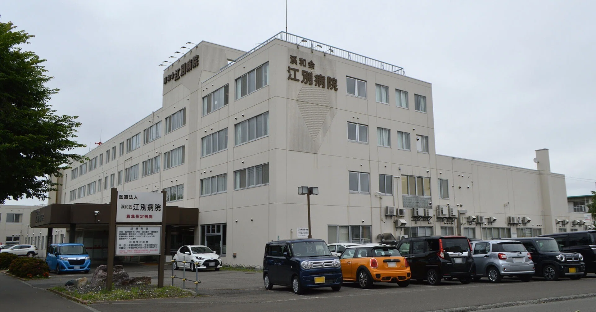 活動歴および当時の関連ビジュアル記録