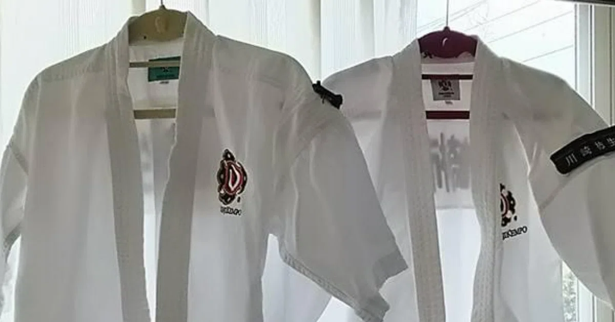 少林寺拳法 胴 （即決☆胴 プロテクター 二重防具 少林寺拳法 剣道 