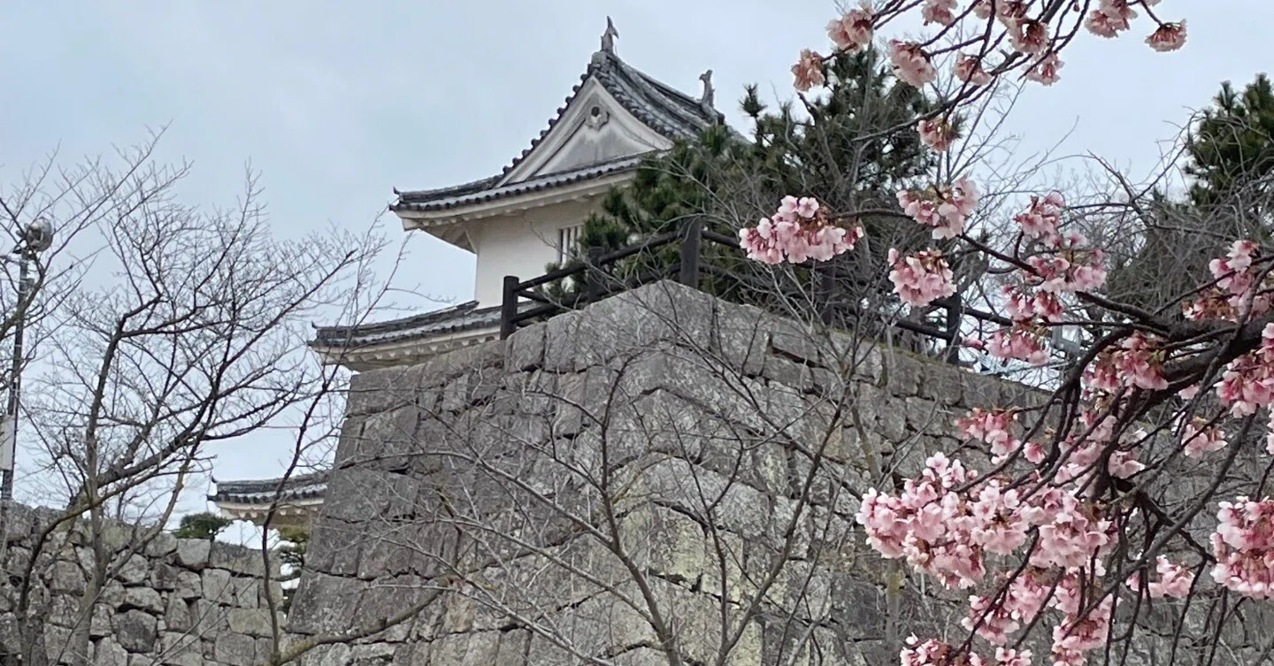 駄洒落番長の城🏯を知ろう④ 丸亀城〜現存するのはたったの12城って