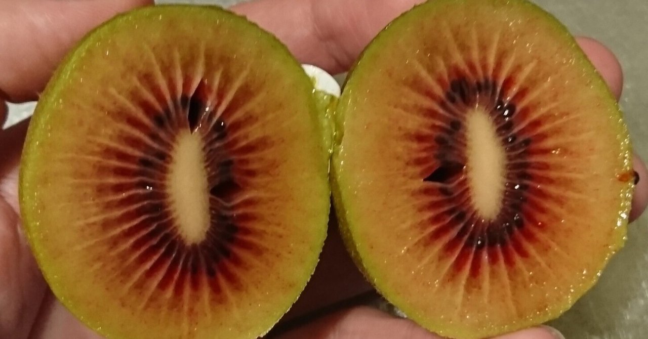 rectangle_large_type_2_1afd822