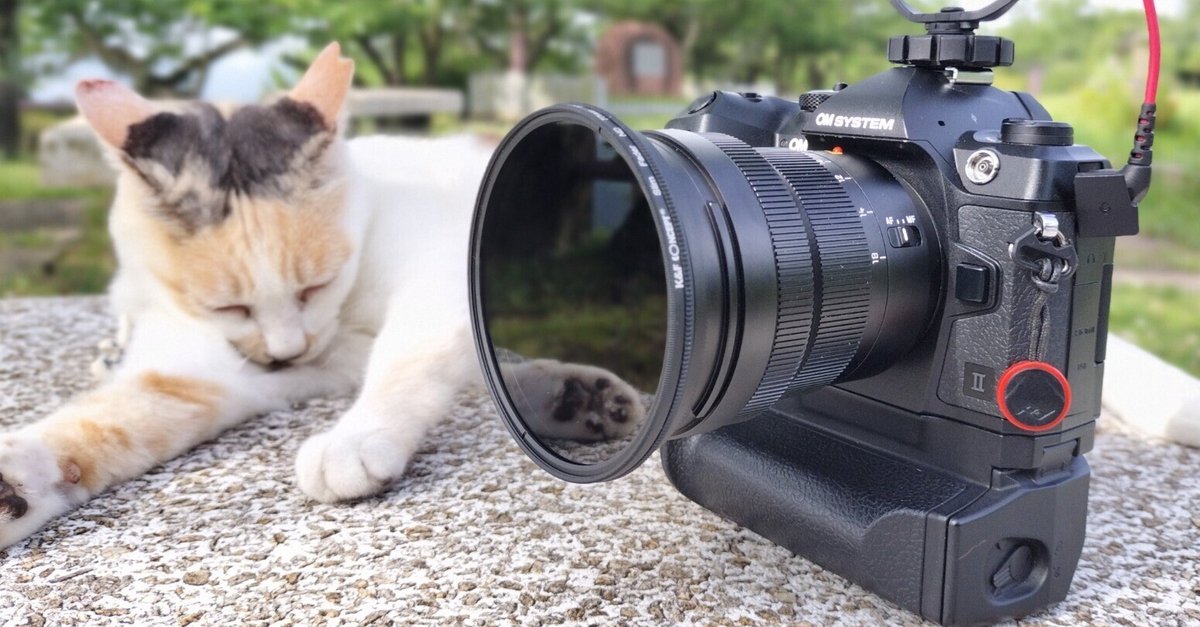 脱カメラ初心者への近道｜もみじ卍ゅう/写真愛好家