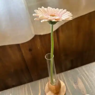 なつみ