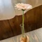 なつみ