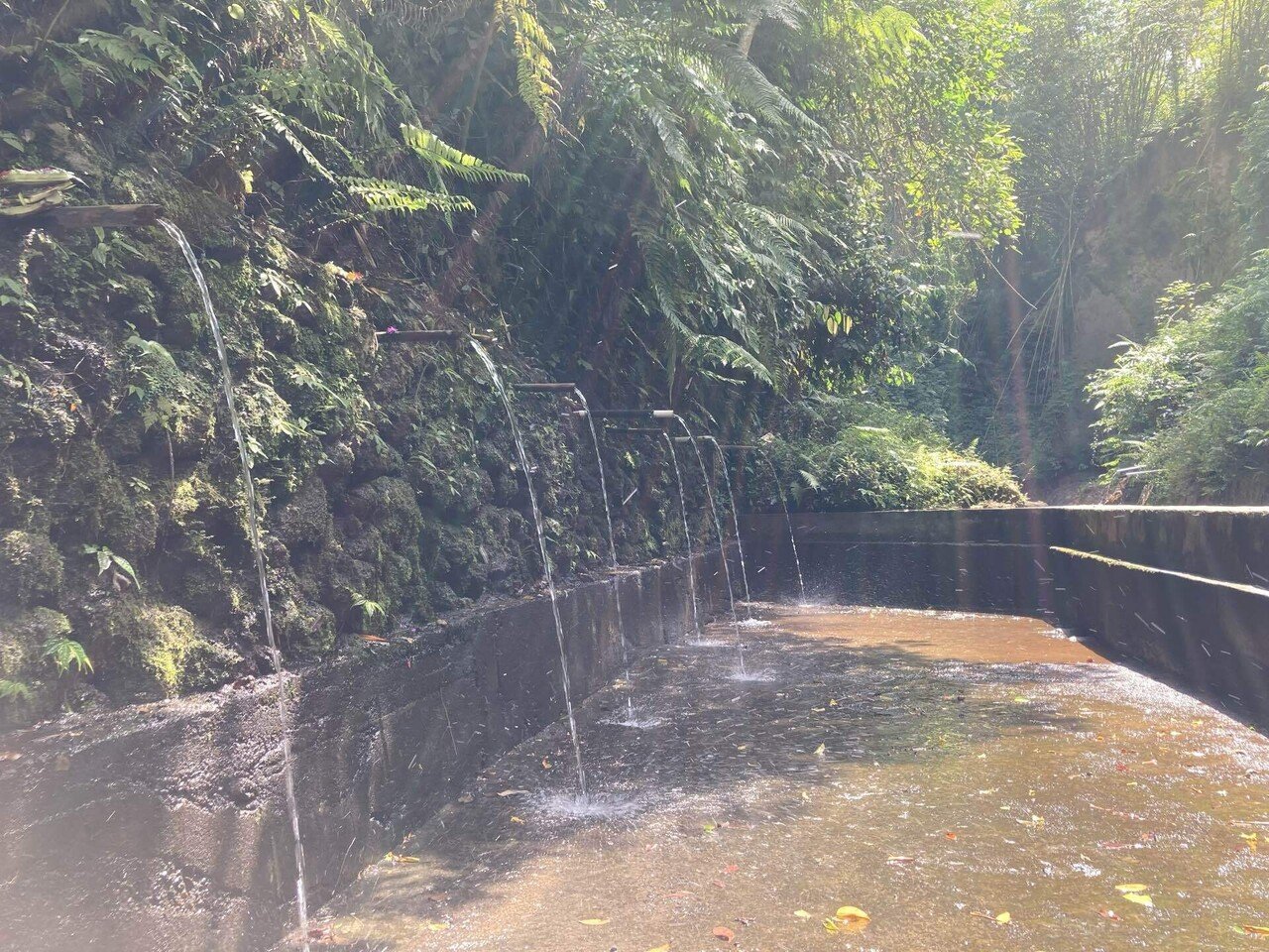 インドネシア】【バリ島】【ウブド】飛び込み天国 Suwat waterfall