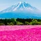 ミュウ🍀ゆるく繋がる