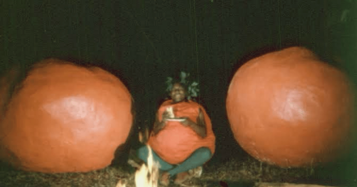 181 フレーバーズ　アタック オブザ トマトバーガー開封※スライム無 説明参照 181 フレーバーズ アタック オブザ トマトバーガー開封※スライム