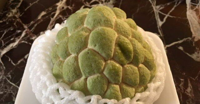 シャカトウ（釈迦頭）｜昭和10年代の台湾｜zh