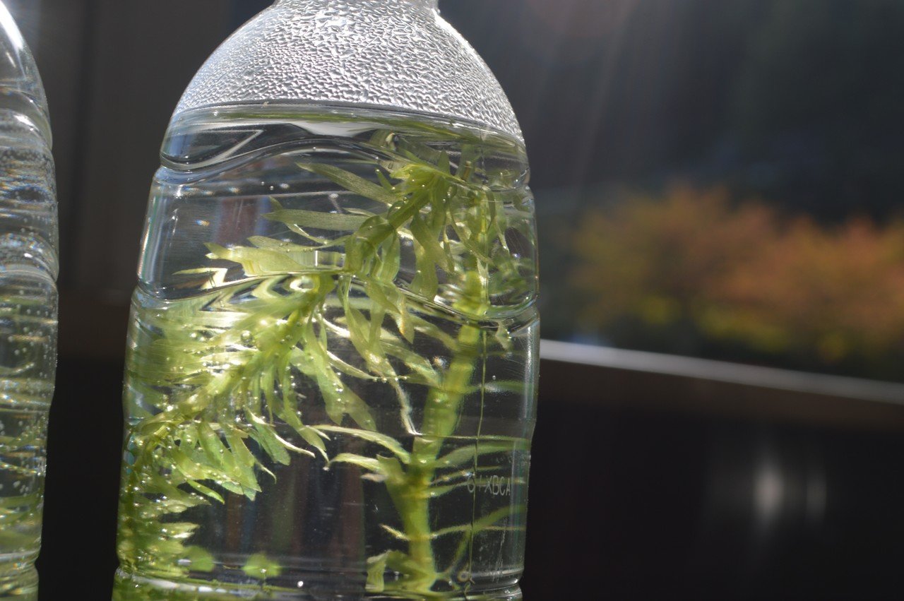 継続性 再現性があること Teacher Canvassador 清水智 Freeride Teacher Note 継続性 再現性があること Teacher Canvassador 清水智 Freeride Teacher Note