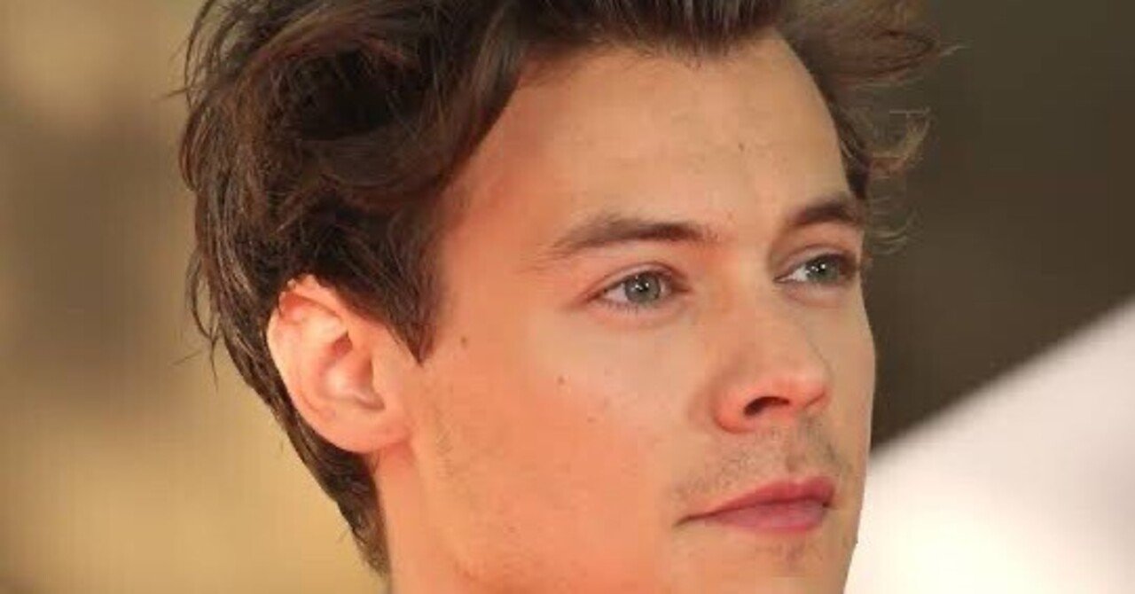 ワンダイレクション】メンバー紹介〜ハリー編〜｜ルチノー