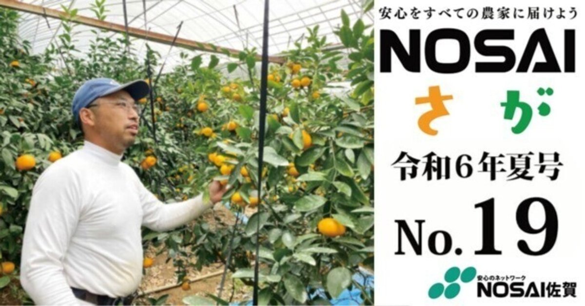グランドセール 漫画 佐賀県農業共済組合の情報誌「NOSAIさが」令和6年夏号NO.19 文化、民俗
