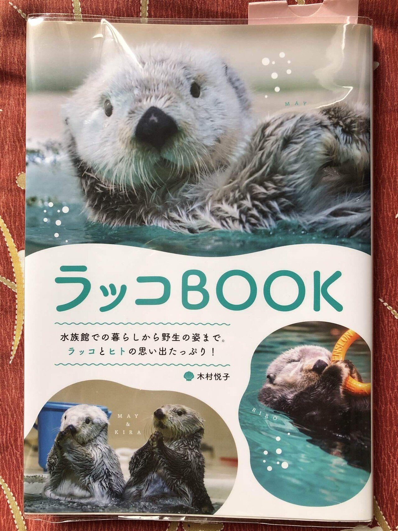 ラッコBOOK』読了|Olivine ラッコBOOK』読了|Olivine