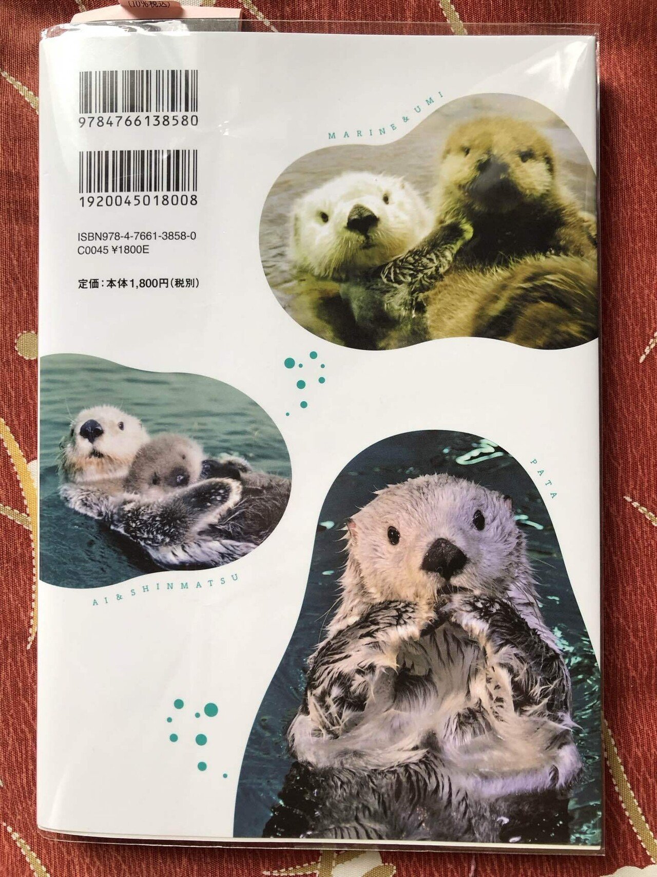 ラッコメモリアルBOOK Amazon.co.jp: 鳥羽水族館 ラッコ 飼育40周年記念 ラッコ