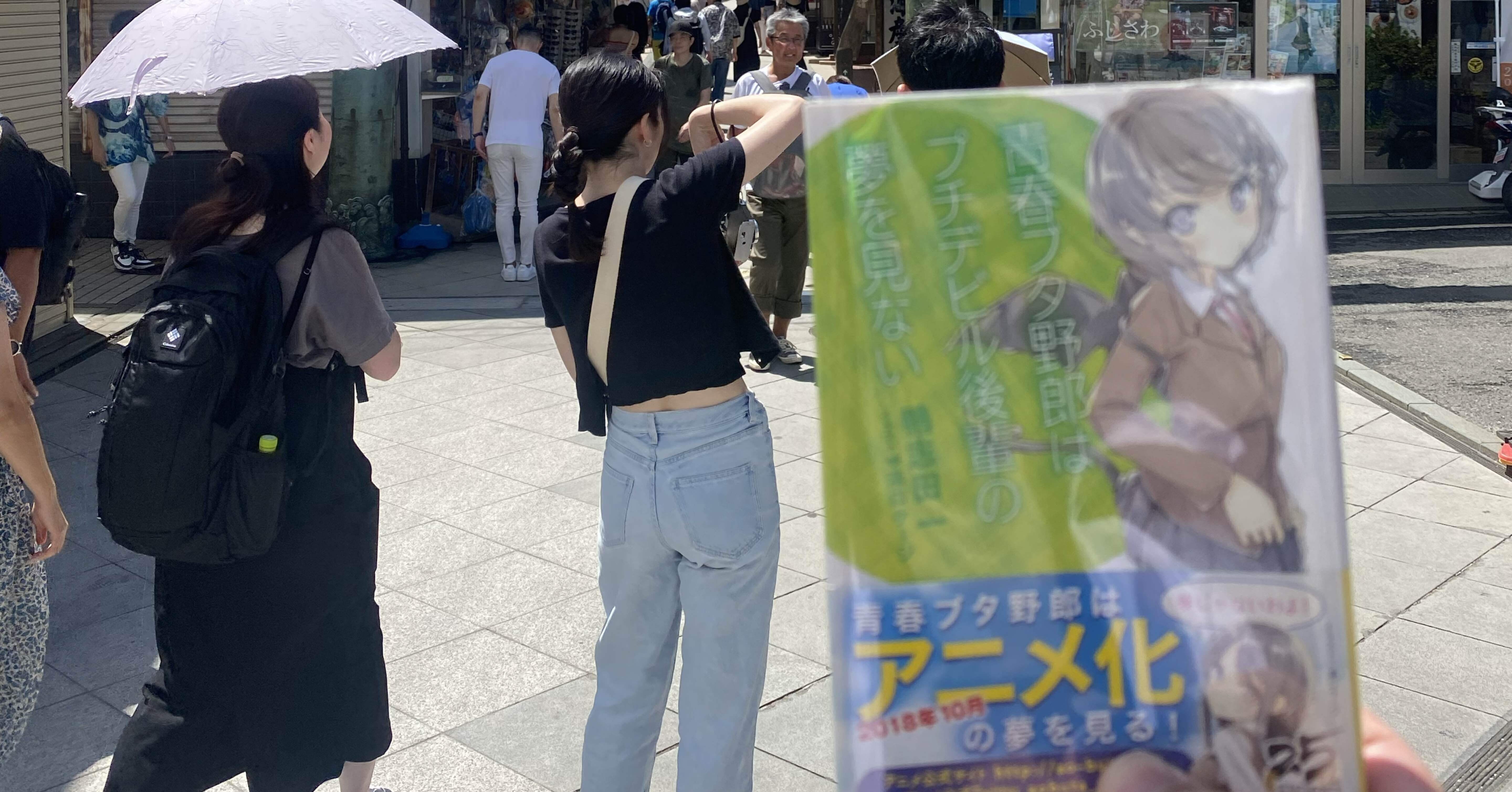 青春ブタ野郎は枝扉の夢を見ない｜憂春