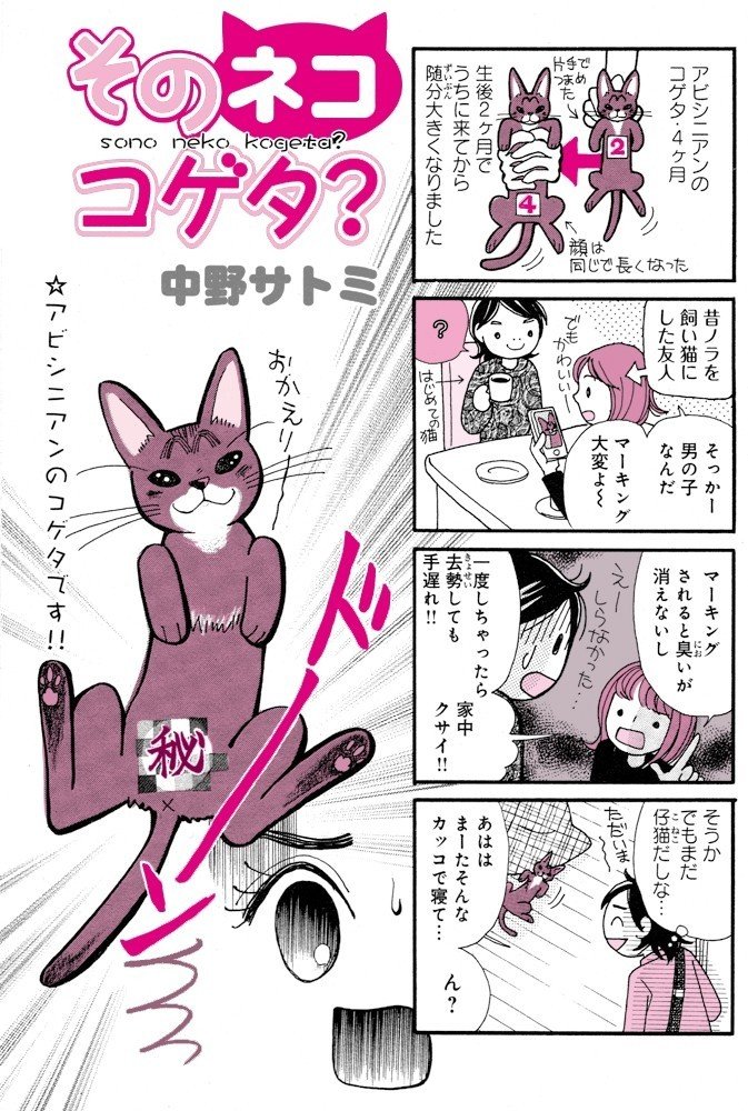 ネコ漫画 そのネココゲタ メディアックス掲載分第五話 中野サトミ Note