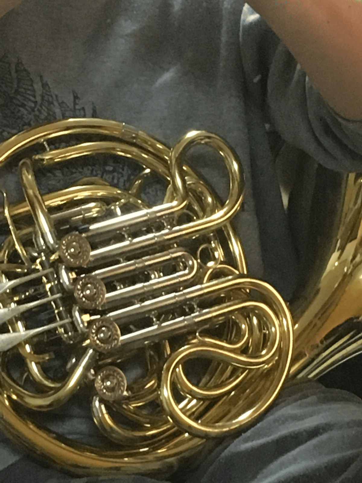 French Horn｜Laskeypictures