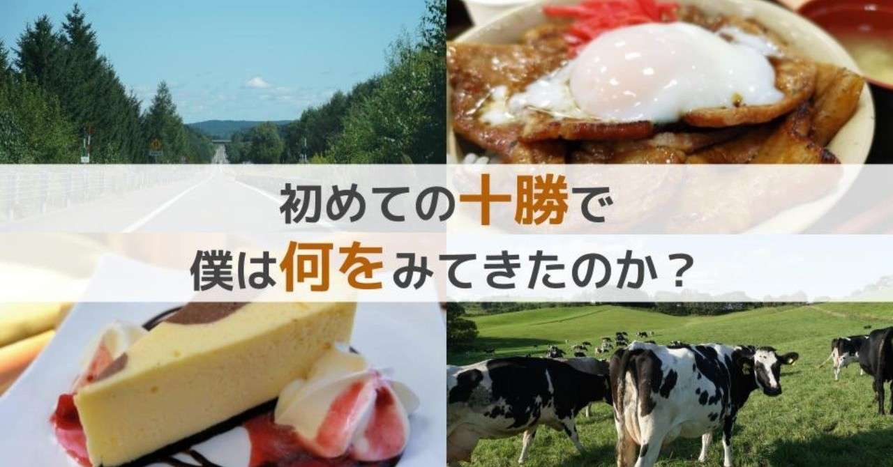 チーズケーキのキャッチ__6_
