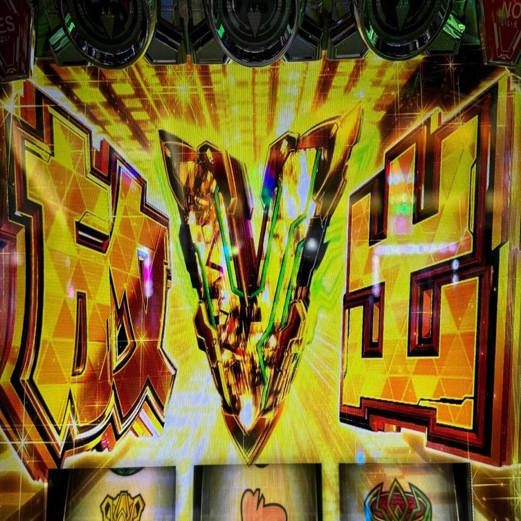 🐼もぐれぽ🐼inワンダーランド諫早店🐶｜ゆきち@mgmg-panda🐼🐾