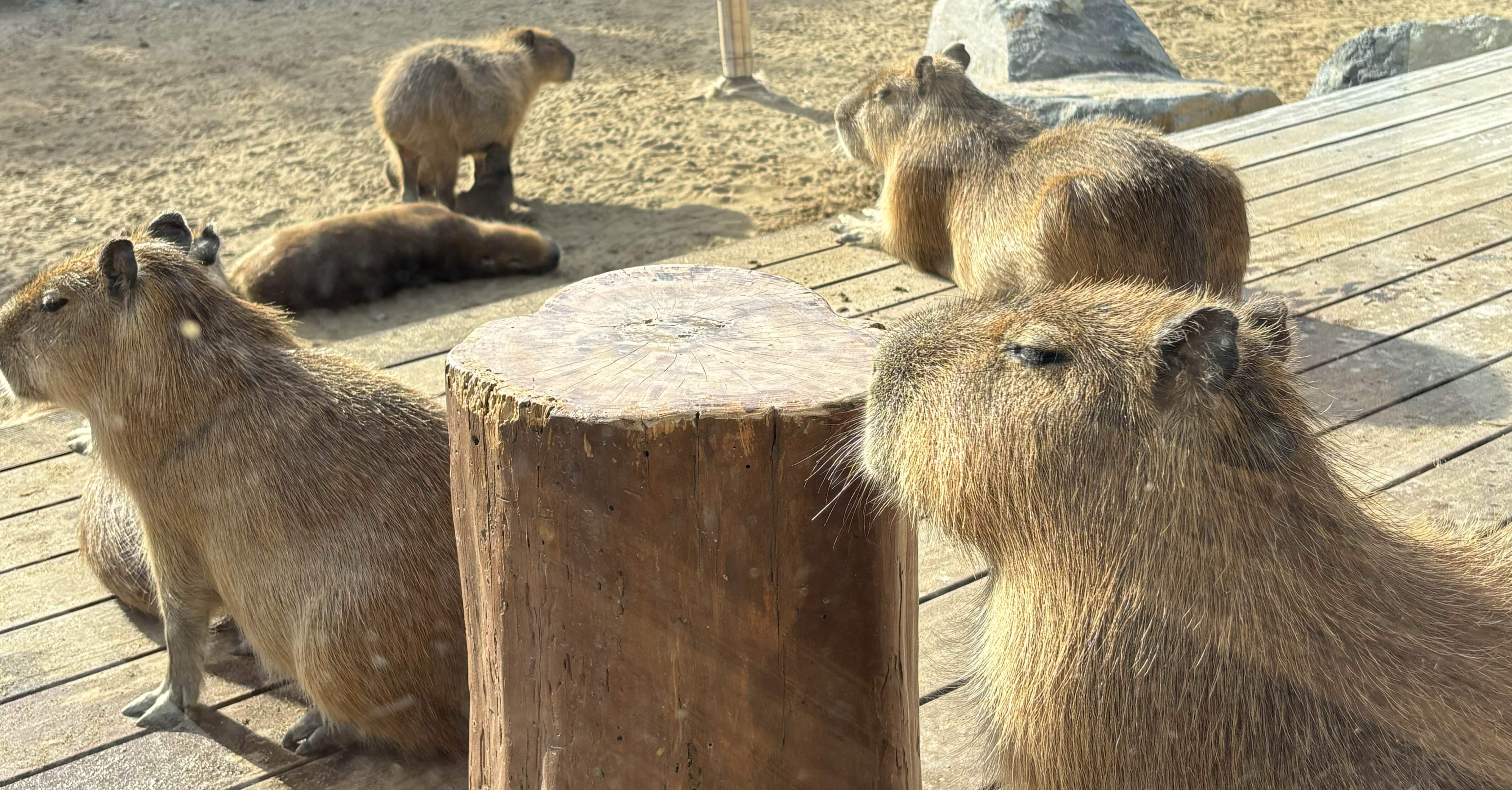 e9da93825cd0a87519de509edbecb2