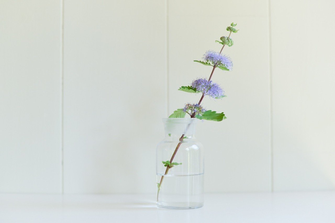 応援する責任 本気の応援は楽しい くらしアトリエ 地域と暮らしの発信 Note