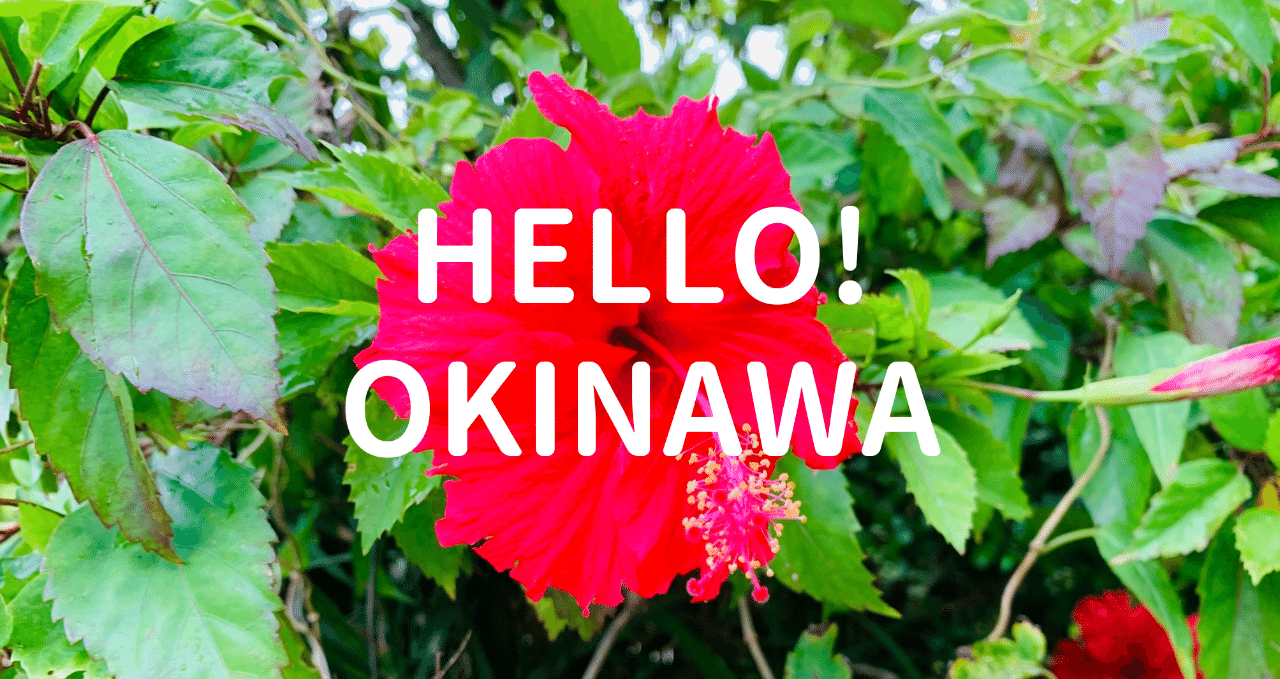 沖縄旅行に10回以上行っている私がおすすめする 沖縄本島グルメ4選 これだけは行っておけ カジュアルフード編 ヒトサラnote部 Note