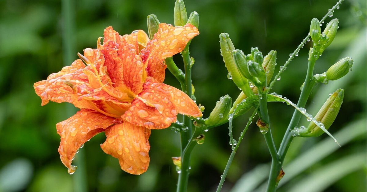 清時代 氷裂梅花紋染付花入 花生 時代物 染付梅花氷裂文壺