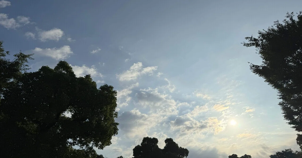 北風と太陽｜ハナ